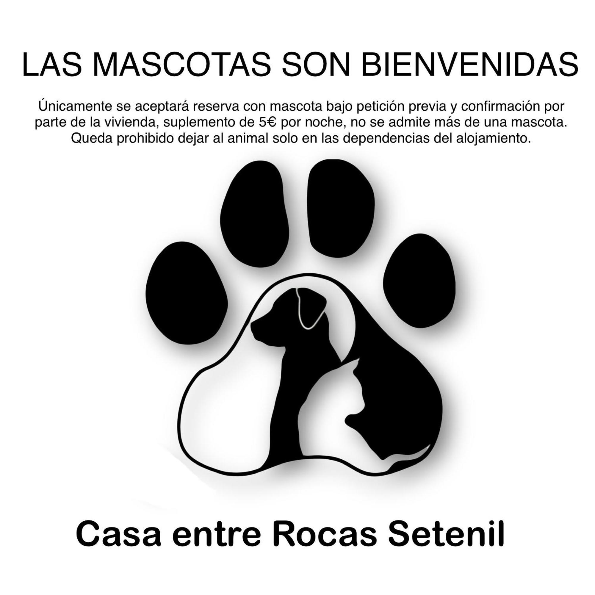 Casa Entre Rocas Setenil Setenil De Las Bodegas المظهر الخارجي الصورة